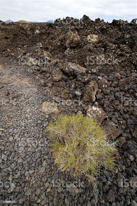 Stone Volcanoes Lanzarote Timanfaya Sky Hill Stock Photo Download