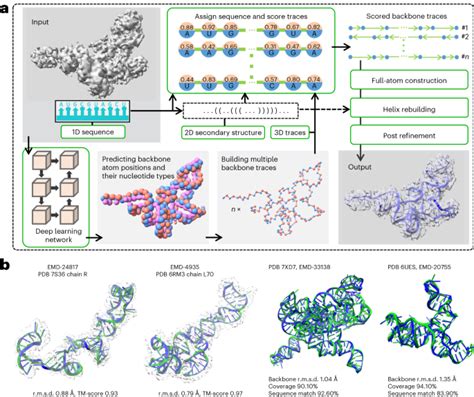 A Deep Learning Based Method For Modeling Of Rna Structures From Cryo