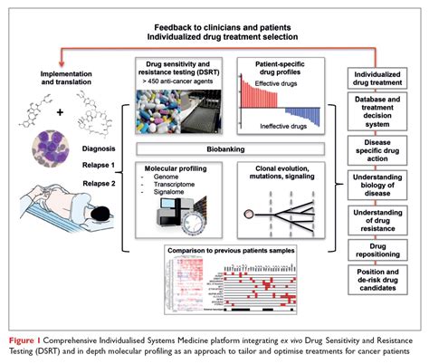 Individualised Systems Medicine Next Generation Precision Cancer