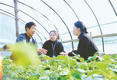 深度关注丨管好村级“一把手”