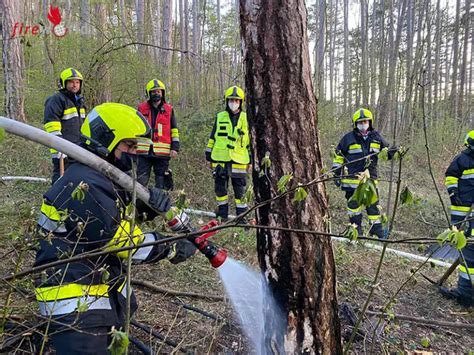 Nö Kleinflächiger Waldbrand in der Jauling in St Veit an der