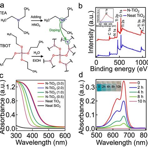 A Schematic Illustrating The Synthesis Of N Tio Nanoparticles By