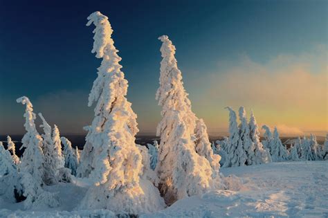 Wetter Schnee Und Frost Im Harz Doch Auch Hier Kann Es Glatt Werden