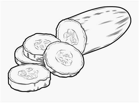 Cucumber Vector Slices , Free Transparent Clipart - ClipartKey