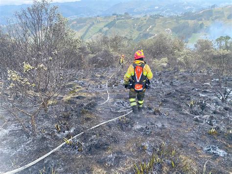 Las Secuelas Que Dejan Los Incendios Forestales En Reas Naturales De