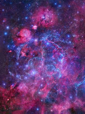 Vela supernova remnant - Stock Image - C030/0070 - Science Photo Library