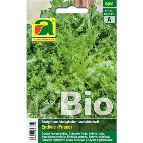 Austrosaat Chicor E Fris E Bio Sachet Bloomling France