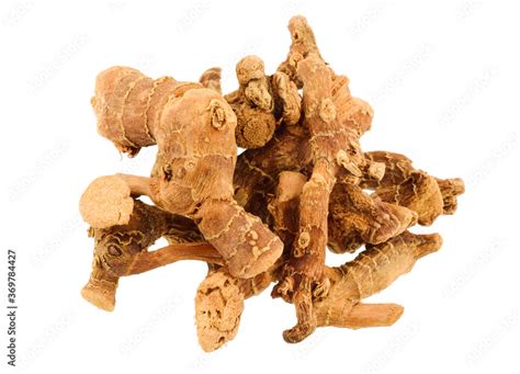 Lesser Galangal Dried Root Rhizome Alpinia Officinarum Culinary And