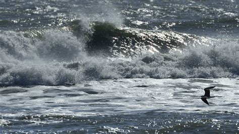 Assateague Island National Seashore Va — Jim Clark Photography