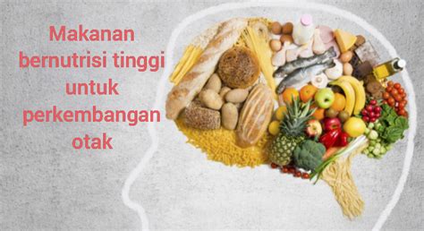 8 Makanan Bernutrisi Tinggi Yang Penting Untuk Otak Anak Penting Untuk Diketahui Seputar