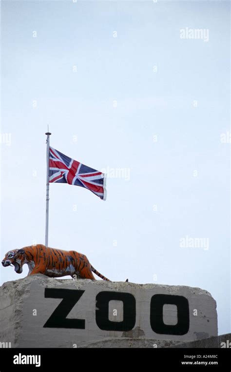View of Zoo sign Stock Photo - Alamy