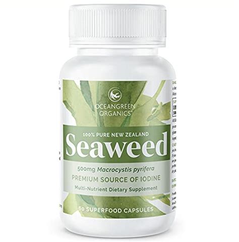 Best Seaweed Supplements 2024 Where To Buy