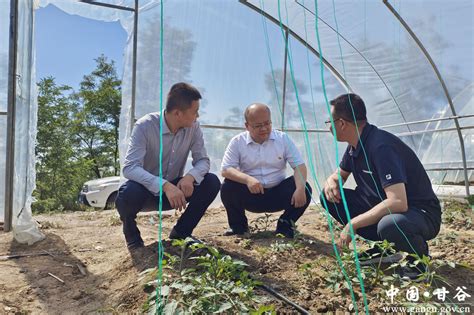 梁柱深入谢家湾乡慰问党员并调研指导联系包抓的基层党建工作图 天水在线