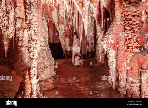 Beautiful Stalactites And Stalagmites In A Limestone Cave In Australia