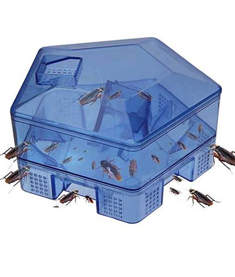cockroach trap
