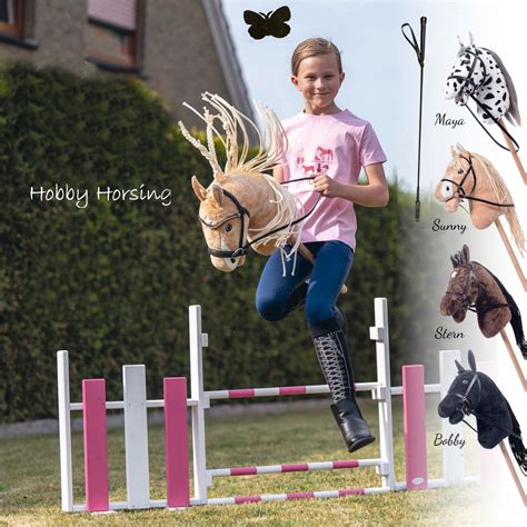 Hobby Horse Hobby Horse Hobby Horse Play Horse With Mane Decoration ...