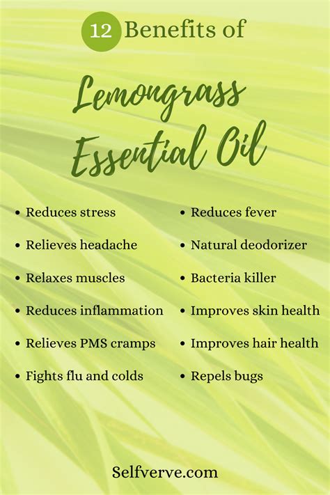 12 Benefits Of Lemongrass Essential Oil Lemongrass Essential Oil