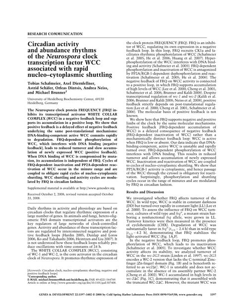 Pdf Circadian Activity And Abundance Rhythms Of The Neurospora Clock