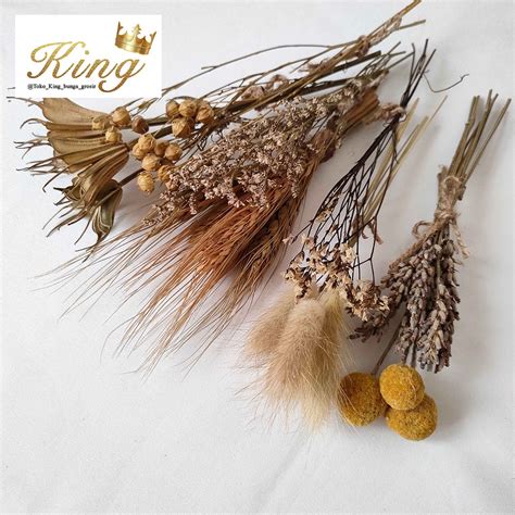 Jual Dried Flower Wheat Lagurus Billy Button Caspea Lavender Lino