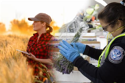 10 Highest Paying Jobs In Agriculture