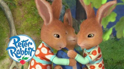 Peter Rabbit Flopsy And Mopsy Teach Peter A Lesson Cartoons For