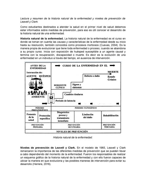 Historia Natural De La Enfermedad Y Niveles De Prevención Como