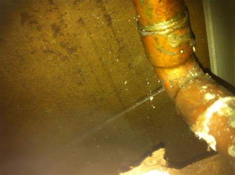 Copper Pipe Leak Detection Water Leak Detection Tampa I Find Leaks