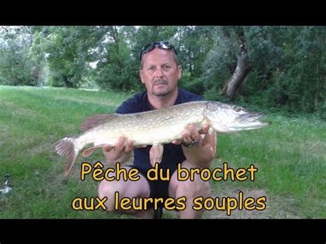 Pêche du brochet aux leurres souples en étang YouTube