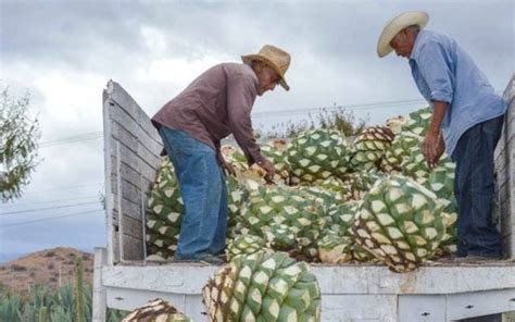 Balanza comercial agroalimentaria registra el superávit más alto en 28