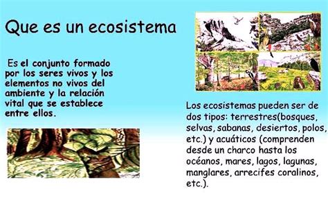 Qu Es Un Ecosistema Para Ni Os Ecosistemas