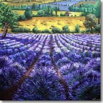 Contemporary Lavender Fields Provence Lavender Art Jennifer Vranes