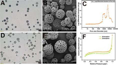 Preparation And Characterization Of Porous Pla Microsphere Optical Download Scientific Diagram