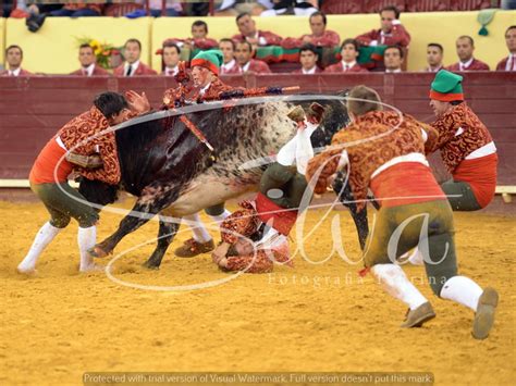 Beja Corrida Da Ovibeja Em Imagens Sol E Sombra