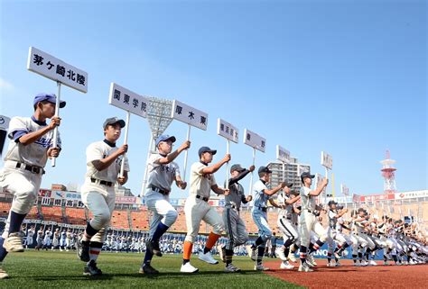 √99以上 第97回全国高校野球選手権大会 トーナメント 235816 第97回全国高校野球選手権大会 トーナメント表 Gambarsaeako