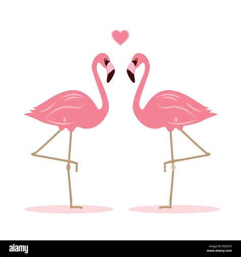 Flamingo Bird Heart Hi Res Stock Photography And Images Alamy