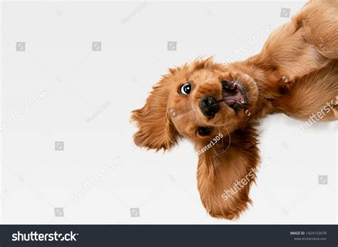 Look Action Images Stock Photos And Vectors Shutterstock