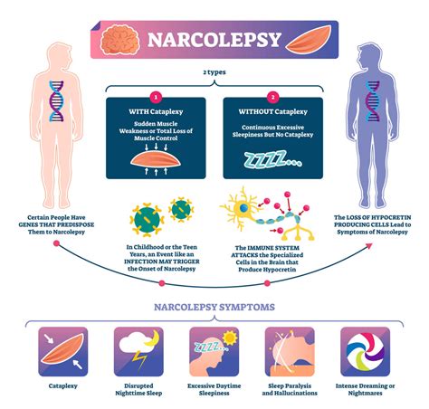 Cataplexy A Rare And Complex Sleep Disorder Pinetales®