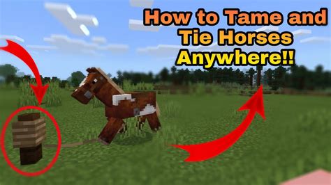 How To Tame Ride And Tie Horses Anywhere In Minecraft Full Details