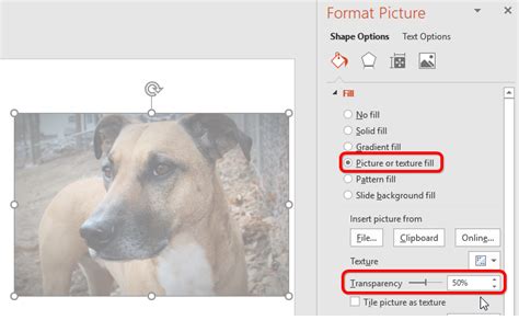 How To Make A Picture More Transparent In Powerpoint Design Talk