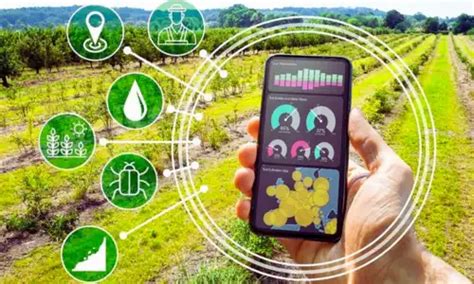 Revolutionizing Agriculture The Growing Role Of Ai In Precision Farming