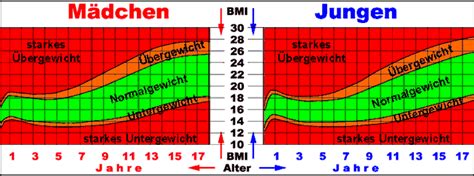 Bmi Rechner Geschlecht Alter