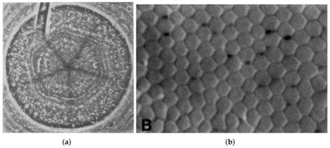 Sensors Free Full Text Slam On The Hexagonal Grid