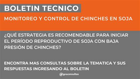 agroconsultasonline on Twitter Qué estrategia es recomendable para