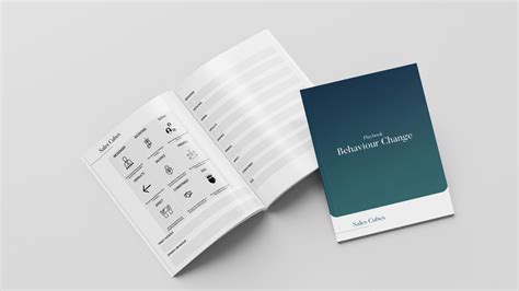 MINDSPACE Framework - Sales Cubes