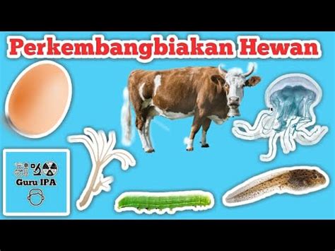 Perkembangbiakan Pada Hewan Sistem Perkembangbiakan Pada Tumbuhan Dan