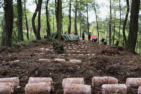 开阳县高寨乡：林下竹荪春种忙大冲村种植指导