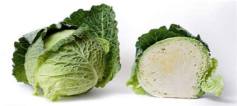 Cabbage Vs Lettuce What S The Difference Main Difference