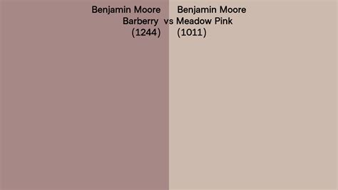 Benjamin Moore Barberry Vs Meadow Pink Side By Side Comparison