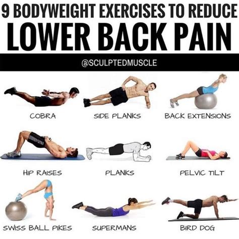 Low Impact Exercises For Back Pain - Exercise Poster