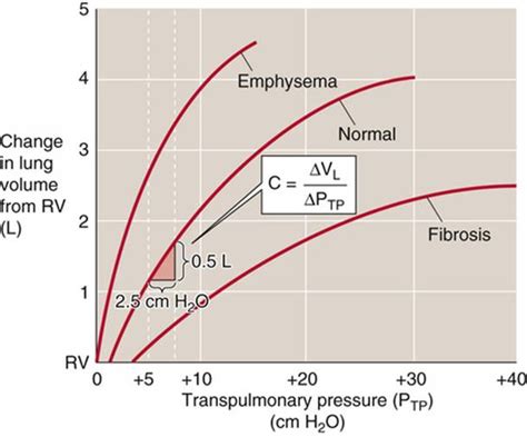 Static Properties Of The Lung Mechanics Of Ventilation The